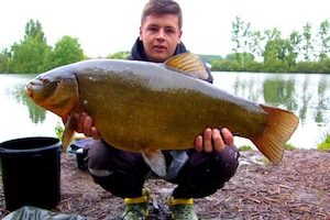 world record tench.jpg